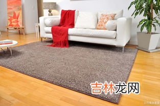 家用地毯哪一些材质比较环保,家用卧室地毯用什么材质好？