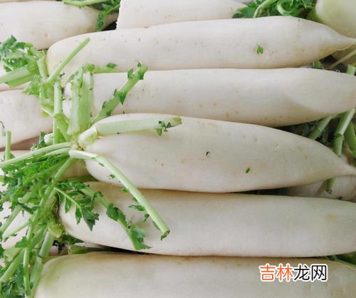 白萝卜可以和什么一起煲汤,白萝卜与什么煲汤好喝