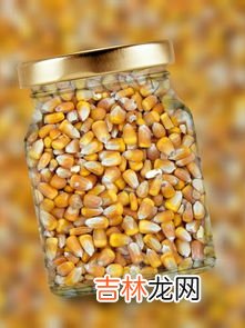 隔夜的玉米能吃吗,熟玉米隔夜能吃吗