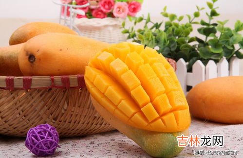芒果不能和什么一起吃,芒果不能和什么一起吃?