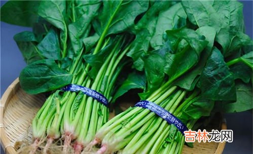 菠菜可以和西红柿一起吃吗,西红柿和菠菜能一起吃吗