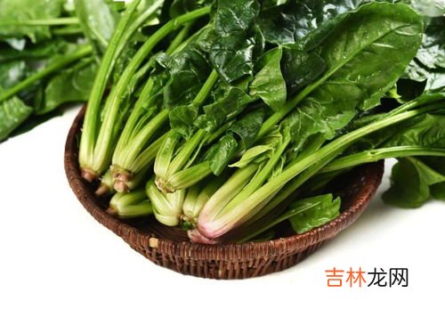 菠菜可以和西红柿一起吃吗,西红柿和菠菜能一起吃吗