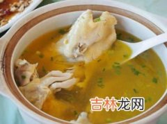 鸡肉可以炖什么汤,鸡炖什么汤好吃又营养