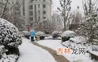 千山鳥飛絕中的絕是什麽意思,千山鳥飛絕的絕是什麽意思