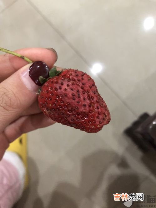 不打 冬天大棚草莓打催熟剂吗,农村大棚里的草莓是催熟的吗