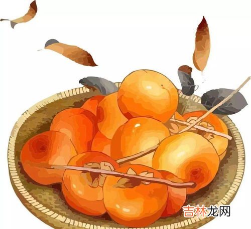 香蕉可以和酸奶一起吃吗,香蕉能不能配酸奶吃