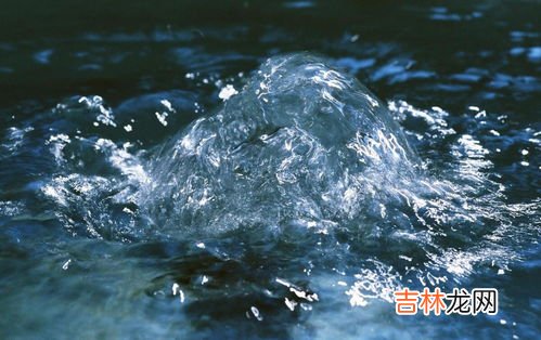 适合孔雀鱼生长适合什么样的环境,最适合孔雀鱼生长的环境是什么？