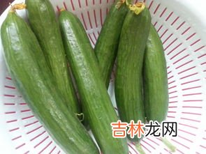 酱包瓜做法,临清济美酱菜包瓜的做法