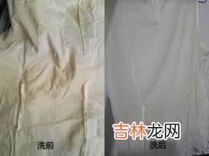 白色棉t恤发黄怎么洗怎样才能洗白,全绵的白T恤发黄了怎么才能洗白啊?