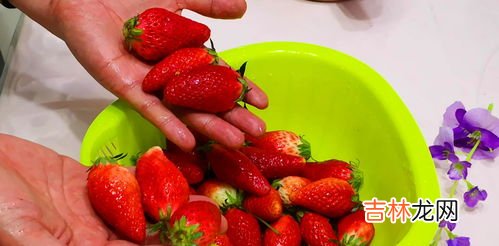 草莓应该怎么样正确清洗,清洗草莓的正确方法