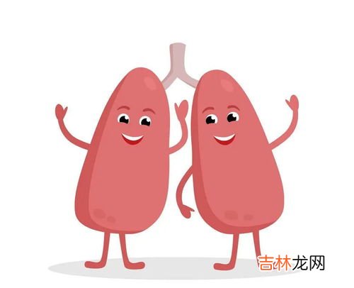 有肺炎就是白肺吗,肺炎白肺是什么意思