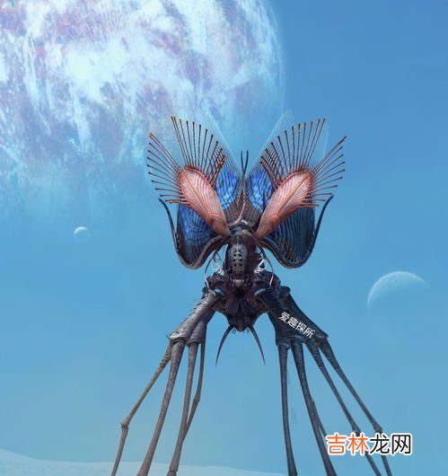 分解者有哪些,高中生物中常见的分解者