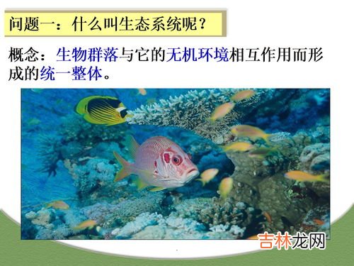 分解者有哪些,高中生物中常见的分解者