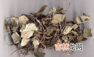 金钱草有什么功效和作用,金钱草的功效与作用