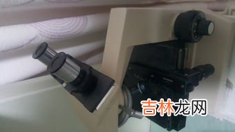 显微镜目镜和物镜的焦距,显微镜物镜与目镜焦距关系