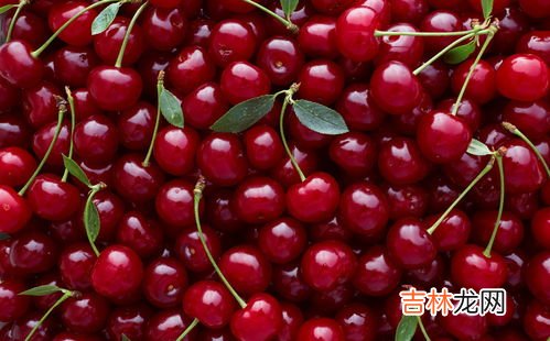 科迪亚车厘子是哪产的,智利车厘子科迪亚品牌的缩写是什么样子的