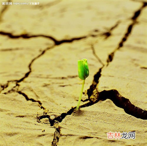 生命的不可逆性是指,什么是生物进化的不可逆性