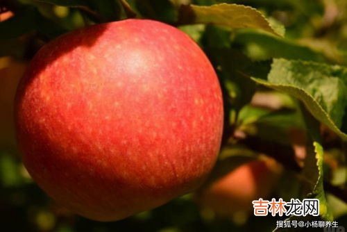 苹果桃子可以一起榨汁吗,苹果可以和桃一起打果汁么