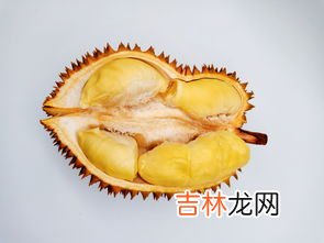 金枕榴莲怎么挑选,怎么挑选金枕榴莲的技巧吗 怎么挑选肉多一点吗