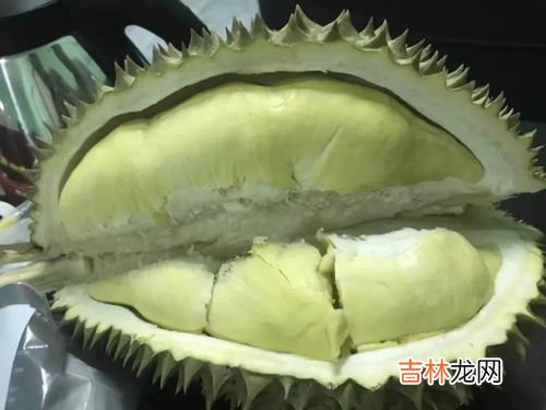 金枕榴莲怎么挑选,怎么挑选金枕榴莲的技巧吗 怎么挑选肉多一点吗