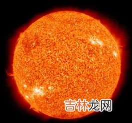 生命的特征包括,生命的特征是什么?