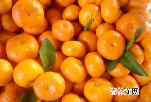 桔子放久了有酒味还能吃吗,橘子放久了会变黄吗?还能吃吗?