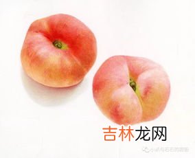蟠桃不能和什么同时吃,蟠桃不能和什么同时吃