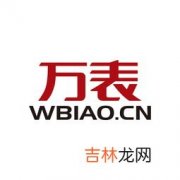 手表品牌logo,手表logo像两个翅膀什么牌子