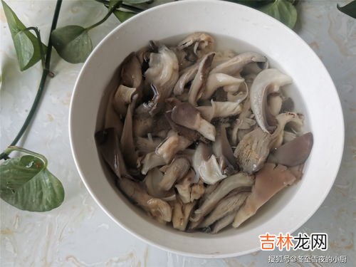 鸡蛋蘑菇能一起吃吗,蘑菇可以和鸡蛋一起吃吗