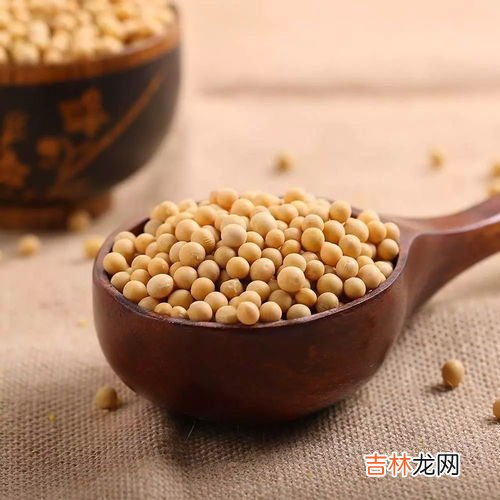 黄豆性寒还是性温,黄豆性寒还是性温