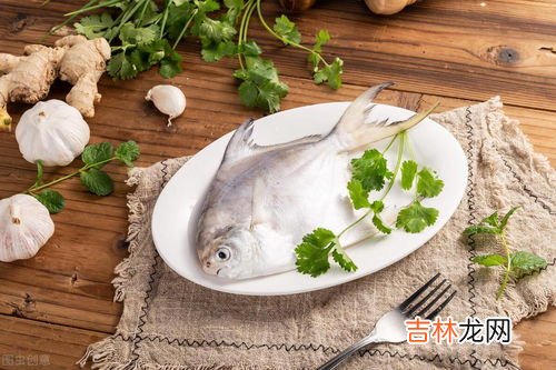 金鲳鱼和银鲳鱼的区别,金鲳鱼和银鲳鱼的区别