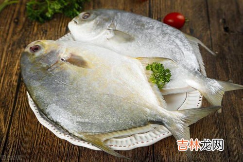 金鲳鱼和银鲳鱼的区别,金鲳鱼和银鲳鱼的区别