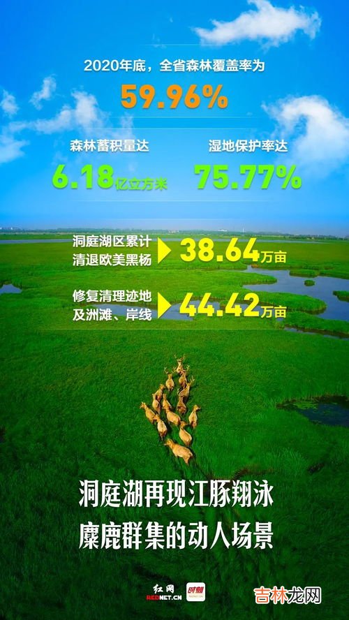 尊重自然顺应自然保护自然,顺应自然保护自然是什么的内在要求