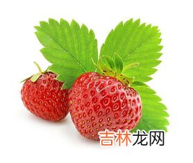 草莓怎么保存才新鲜,草莓怎么保存新鲜