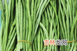 豆角怎样保存能吃一年,新鲜豆角的长期储存小方法
