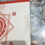 解析中国邮票上的蛇,《癸巳年》特种邮票的特点