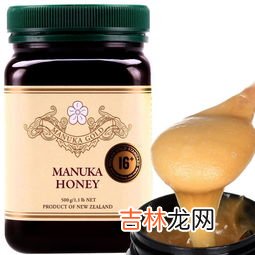 麦卢卡蜂蜜孝素果冻怎么样,麦卢卡蜂蜜是智商税吗