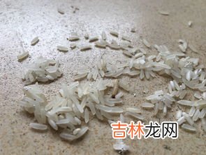 面粉起虫子还可以吃吗,面粉生了小黑虫还能吃吗