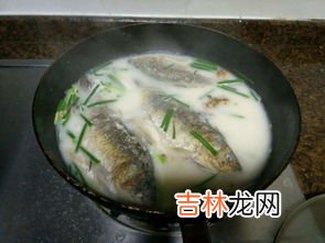 鲫鱼汤怎么煮,鲫鱼汤的做法鲫鱼汤的做法