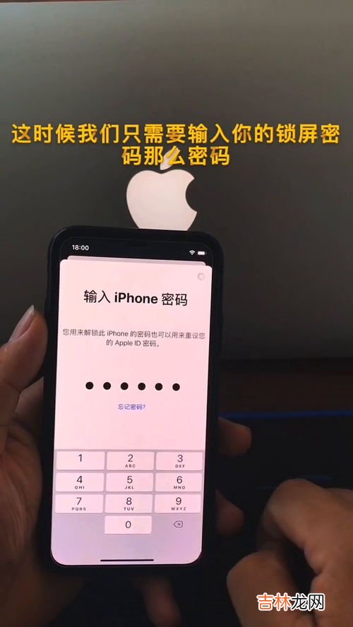 苹果手机id密码忘了怎么办,苹果手机要appleid密码忘记了怎么办