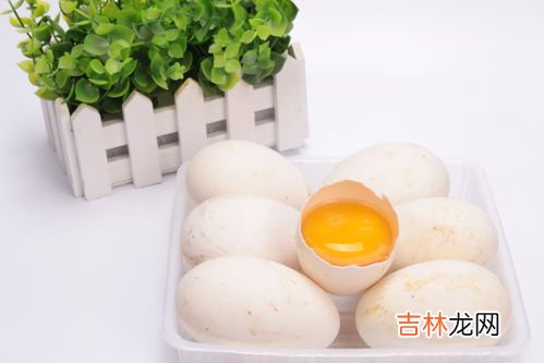 鸡蛋和鹅蛋的营养价值有什么不同,鹅蛋和鸡蛋有什么区别?