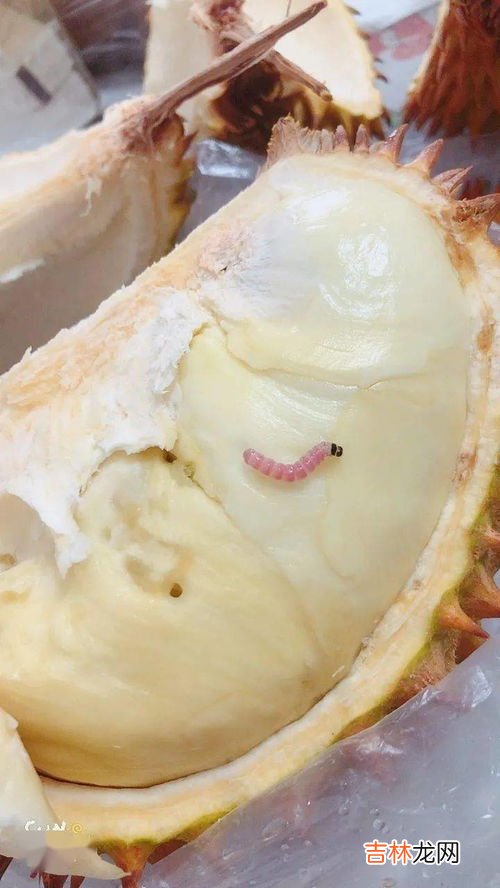 榴莲放几天能熟,生榴莲放多久才会熟