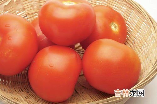 西红柿怎样保存过冬天还能吃,西红柿冬天怎么储存