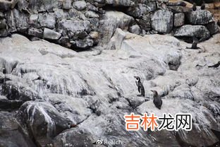 南美的什么秘鲁玻利维亚是银三角,南美的什么地方俗称银三角