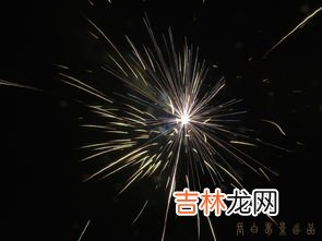 过年燃放烟花时需要牢记哪一些问题,春节放烟花怎样确保安全？
