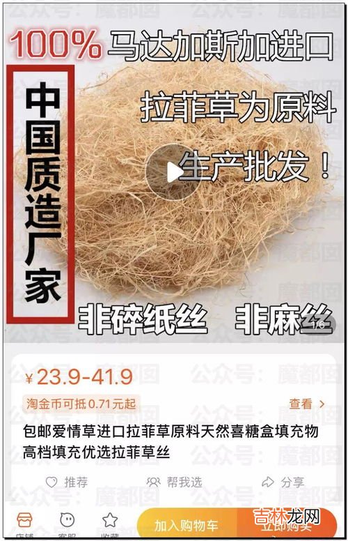 六周年拉菲草是什么,拉菲草什么梗 拉菲草解释