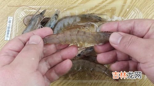 冻虾尾要不要焯水,超市买的冷冻龙虾尾怎么处理