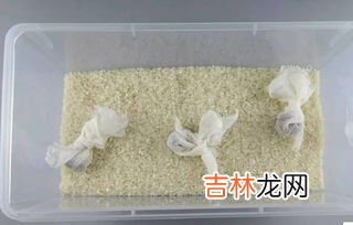 大米生黑色虫子还能吃吗,大米长了黑色的虫子还能吃吗