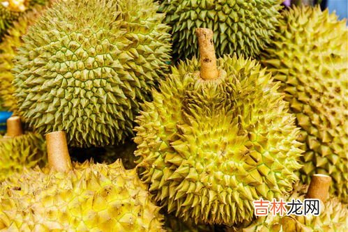 榴莲发苦怎么处理,榴莲苦是怎么回事 榴莲发苦是不是坏了