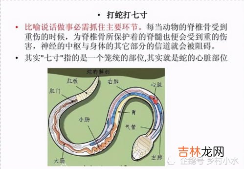 变色龙的原理在于什么色素细胞位置的变化,变色龙的变色原理在于什么色素?